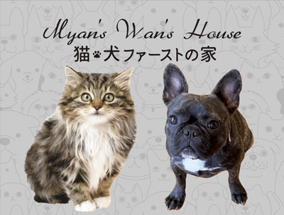 야옹멍멍 하우스