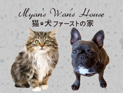 야옹멍멍 하우스